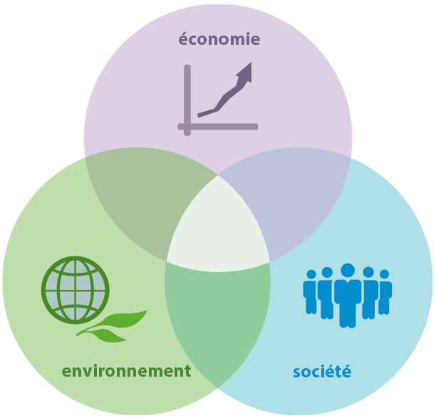 Sustainability_diagram